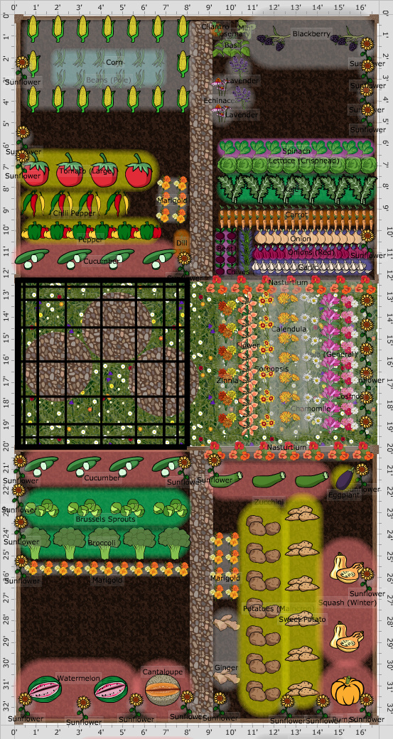 Companion Vegetable Garden Layout | The Old Farmer's Almanac